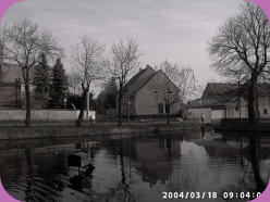 Über den Hemsdorfer Dorfteich das Anwesen der Familie Müller im Jahre 2004 (Foto von T. Müller)