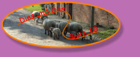 Dies und Das               Seite 10