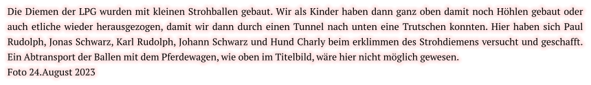 Die Diemen der LPG wurden mit kleinen Strohballen gebaut. Wir als Kinder haben dann ganz oben damit noch Höhlen gebaut oder auch etliche wieder herausgezogen, damit wir dann durch einen Tunnel nach unten eine Trutschen konnten. Hier haben sich Paul Rudolph, Jonas Schwarz, Karl Rudolph, Johann Schwarz und Hund Charly beim erklimmen des Strohdiemens versucht und geschafft. Ein Abtransport der Ballen mit dem Pferdewagen, wie oben im Titelbild, wäre hier nicht möglich gewesen.  Foto 24.August 2023