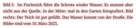 Bild l:  Im Fischteich führt die Schrote wieder Wasser. Es stammt aber nicht aus der Quelle. In der Mitte: mal in den Garten fotografiert. Bild rechts: Der Teich ist gut gefüllt. Das Wasser kommt von der Straße. Die Bilder sind vom 10. März 2023.