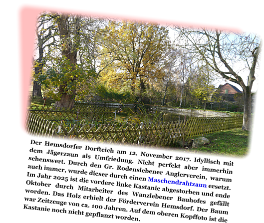 Der Hemsdorfer Dorfteich am 12. November 2017. Idyllisch mit dem Jägerzaun als Umfriedung. Nicht perfekt aber immerhin sehenswert. Durch den Gr. Rodenslebener Anglerverein, warum auch immer, wurde dieser durch einen Maschendrahtzaun ersetzt. Im Jahr 2025 ist die vordere linke Kastanie abgestorben und ende Oktober durch Mitarbeiter des Wanzlebener Bauhofes gefällt worden. Das Holz erhielt der Förderverein Hemsdorf. Der Baum war Zeitzeuge von ca. 100 Jahren. Auf dem oberen Kopffoto ist die Kastanie noch nicht gepflanzt worden.